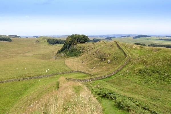 Hadrians Wall UNESCO World Heritage Site, Northumberland, England, United Kingdom