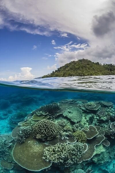 Half above and half below view of coral reef at Pulau Setaih Island, Natuna Archipelago