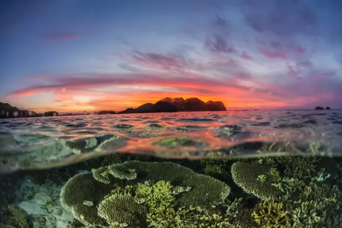 Framed Print : Half above and half below view of the Komodo Diving Resort at sunset, Sebayur Island Framed Print : Half above and half below view of the Komodo Diving Resort at sunset, Sebayur Island