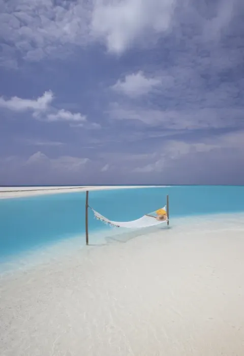 Framed Print : Hammock on the edge of beach, Maldives, Indian Ocean, Asia Framed Print : Hammock on the edge of beach, Maldives, Indian Ocean, Asia