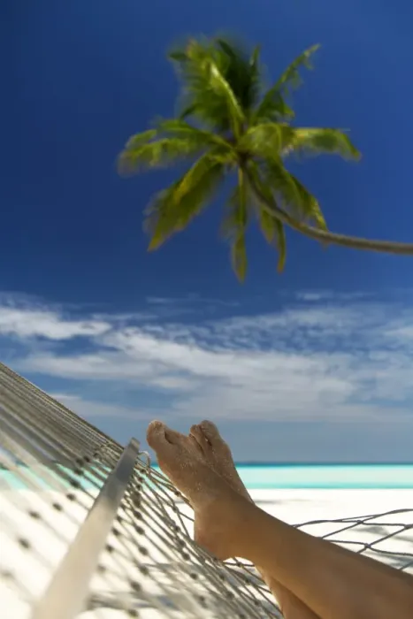 Framed Print : Hammock and palm tree, Maldives, Indian Ocean, Asia Framed Print : Hammock and palm tree, Maldives, Indian Ocean, Asia