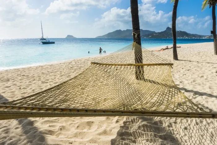 Framed Print : Hammock between two palms on a sandy beach, Palm Island, The Grenadines, St. Vincent and the Grenadines, Windward Islands, West Indies, Caribbean, Central America Framed Print : Hammock between two palms on a sandy beach, Palm Island, The Grenadines, St. Vincent and the Grenadines, Windward Islands, West Indies, Caribbean, Central America