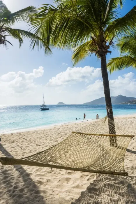 Framed Print : Hammock between two palms on a sandy beach, Palm Island, The Grenadines, St. Vincent and the Grenadines, Windward Islands, West Indies, Caribbean, Central America Framed Print : Hammock between two palms on a sandy beach, Palm Island, The Grenadines, St. Vincent and the Grenadines, Windward Islands, West Indies, Caribbean, Central America