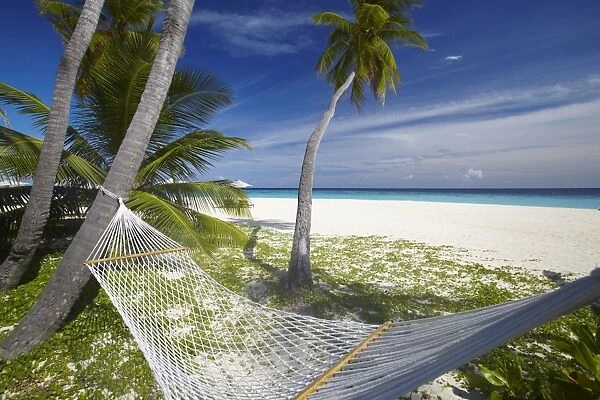 Hammock and tropical beach, Maldives, Indian Ocean, Asia