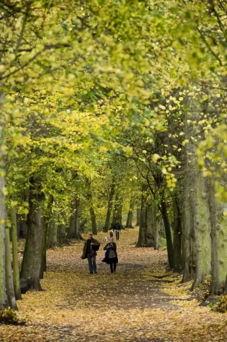 Framed Print : Hampstead Heath, North London, England, United Kingdom, Europe Framed Print : Hampstead Heath, North London, England, United Kingdom, Europe