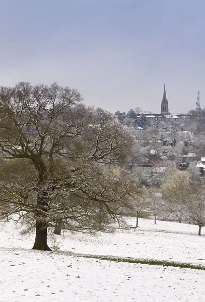 Hampstead Heath in the snow, London, England, United Kingdom, Europe