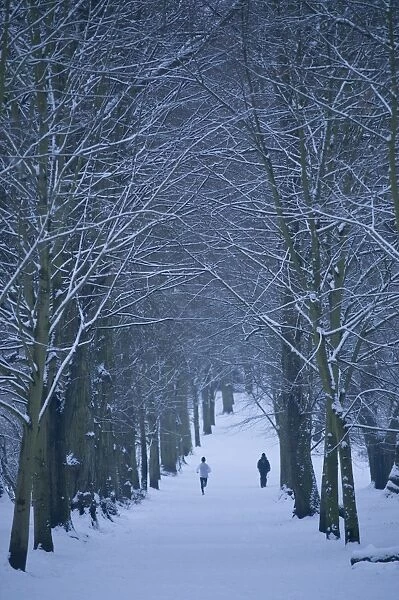 Hampstead Heath in winter, London, England, United Kingdom, Europe