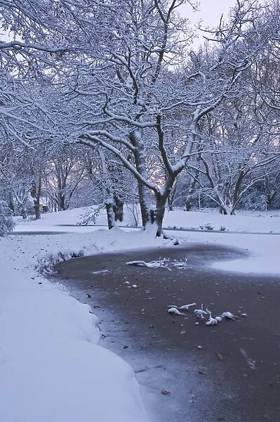 Hampstead Heath in winter, North London, England, United Kingdom, Europe