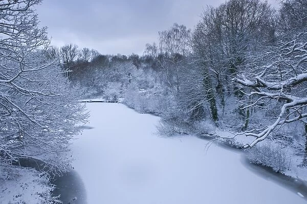 Hampstead Heath in winter, North London, England, United Kingdom, Europe