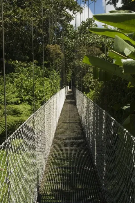 Framed Print : Hanging Bridges a walk through the rainforest, Arenal, Costa Rica Framed Print : Hanging Bridges a walk through the rainforest, Arenal, Costa Rica