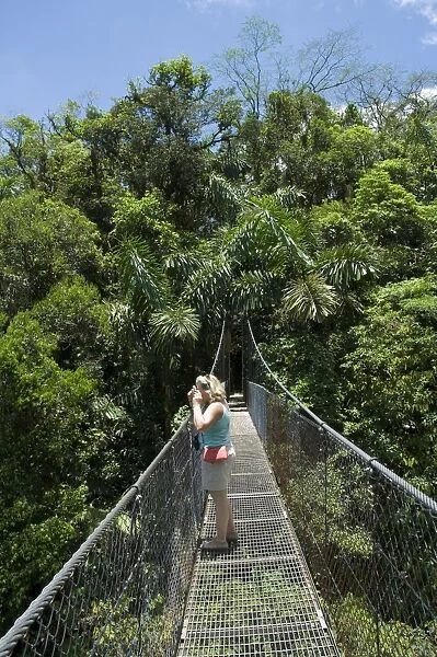 Hanging Bridges, a walk through the rainforest, Arenal, Costa Rica, Central America
