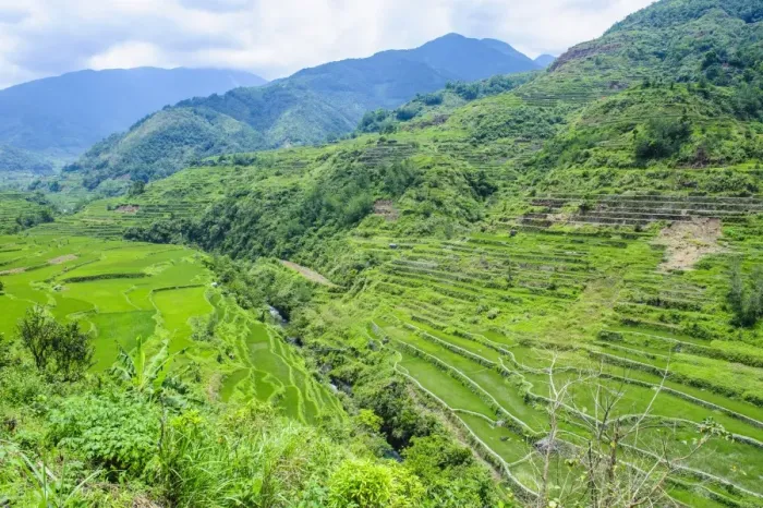 Framed Print : Hapao rice terraces, Banaue, UNESCO World Heritage Site, Luzon, Philippines, Southeast Asia, Asia Framed Print : Hapao rice terraces, Banaue, UNESCO World Heritage Site, Luzon, Philippines, Southeast Asia, Asia