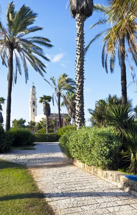 Framed Print : HaPisgah Gardens (The Summit Garden), Jaffa, Tel Aviv, Israel, Middle East Framed Print : HaPisgah Gardens (The Summit Garden), Jaffa, Tel Aviv, Israel, Middle East