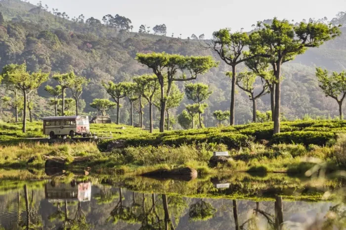 Framed Print : Haputale, reflections of a public bus in a lake in the Nuwara Eliya District, Sri Lanka Hill Country, Sri Lanka, Asia Framed Print : Haputale, reflections of a public bus in a lake in the Nuwara Eliya District, Sri Lanka Hill Country, Sri Lanka, Asia