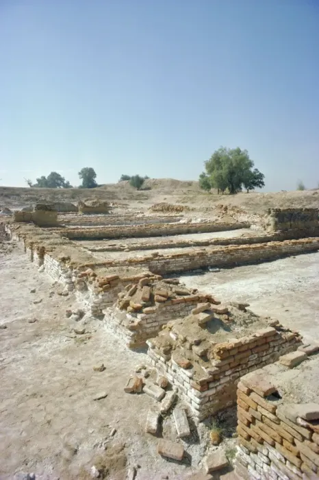 Framed Print : Harappa site Framed Print : Harappa site
