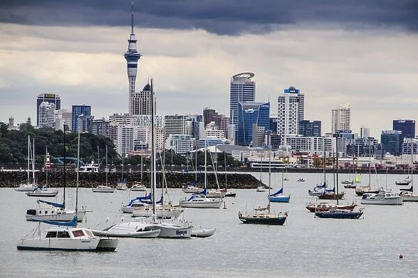 The harbour of Auckland with the skyline in the background, Auckland, North Island, New Zealand, Pacific