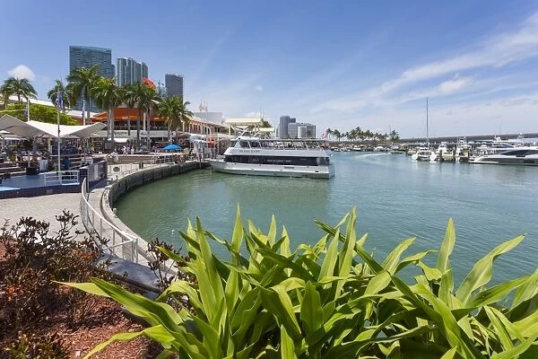 Harbour in the Bayside Marketplace in Downtown, Miami, Florida, United States of America