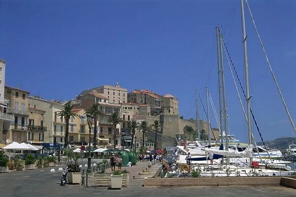 The harbour at Calvi, Balagne region, Corsica, France, Mediterranean, Europe