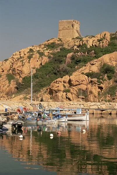 Harbour and citadel, Porto, Corsica, France, Mediterranean, Europe
