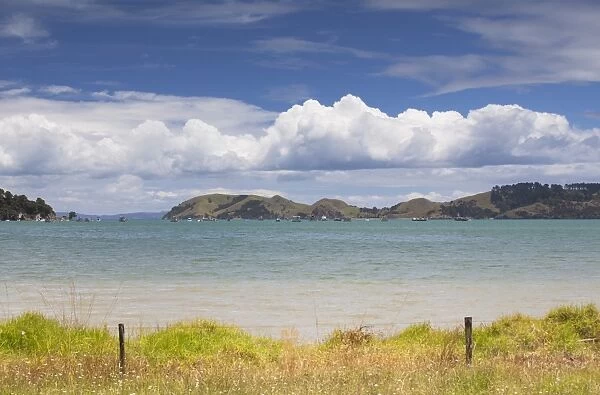 Harbour of Coromandel Town, Coromandel Peninsula, Waikato, North Island, New Zealand, Pacific