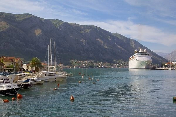 Harbour and cruise ship, Old Town, Kotor, Montenegro, Europe
