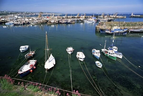 Harbour and fishing fleet, Penzance, Cornwall, England, United Kingdom, Europe