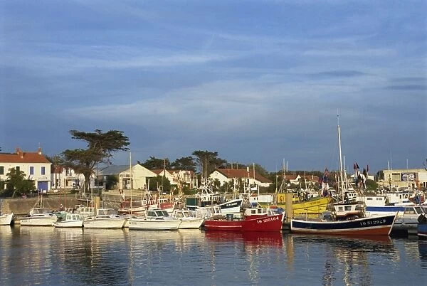 Harbour, La Cotiniere, Ile d Oleron, Poitou Charentes, France, Europe