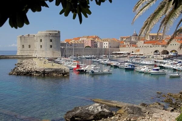 Harbour. Old Town, UNESCO World Heritage Site, Dubrovnik, Dalmatia, Croatia, Europe
