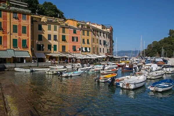Harbour, Portofino, Genova (Genoa), Liguria, Italy, Europe