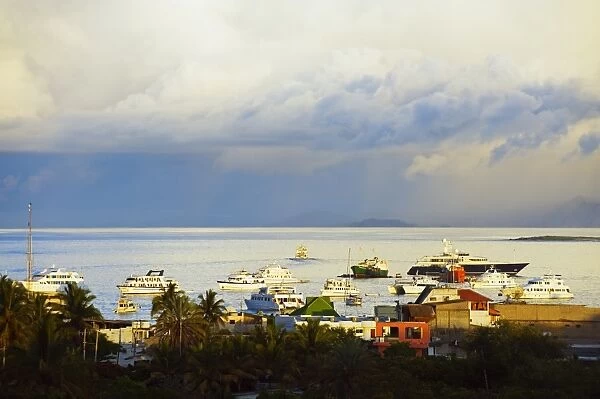 Harbour of Puerto Ayora, Isla Santa Cruz, Galapagos Islands, UNESCO World Heritage Site