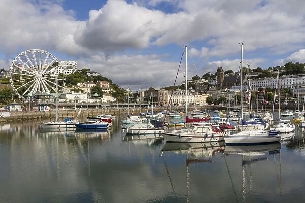 Harbour, Torquay, Devon. England, United Kingdom, Europe