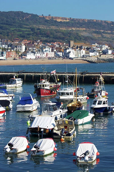 Harbour and Town, Lyme Regis, Dorset, England, United Kingdom, Europe