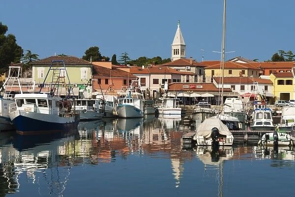 Harbour and Venetian style campanile, Novigrad (Cittanova), Istria, Croatia, Adriatic, Europe