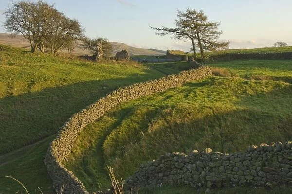 Haresceugh Castle ruin, north Pennine, Cumbria, England, United Kingdom, Europe