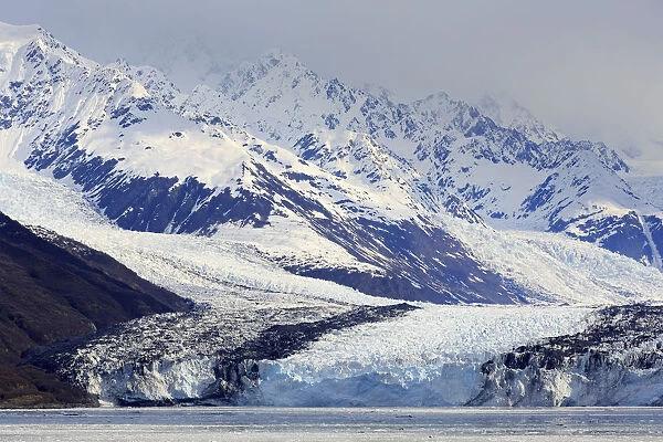 Harvard Glacier in College Fjord, Southeast Alaska, United States of America, North