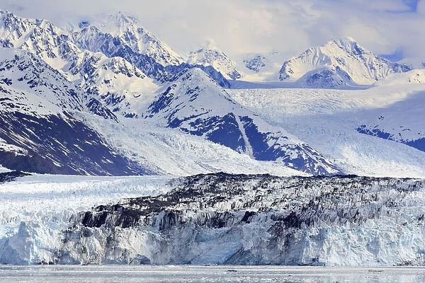 Harvard Glacier in College Fjord, Southeast Alaska, United States of America, North