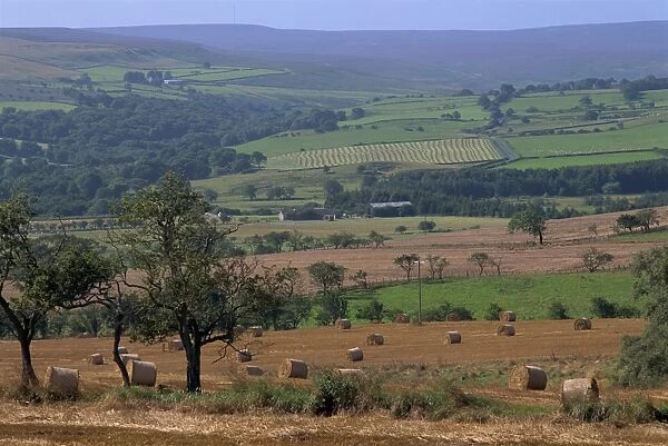 Harvested field and rural landscape, Northumberland, England, United Kingdom, Europe