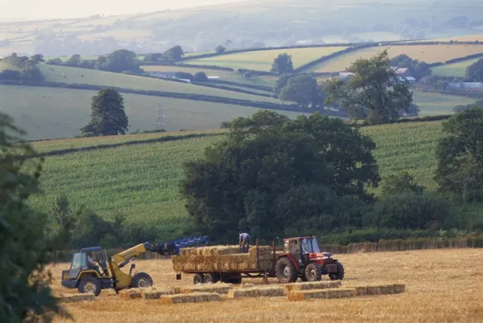 Framed Print : Harvesting near Bigbury, Devon, England, United Kingdom, Europe Framed Print : Harvesting near Bigbury, Devon, England, United Kingdom, Europe