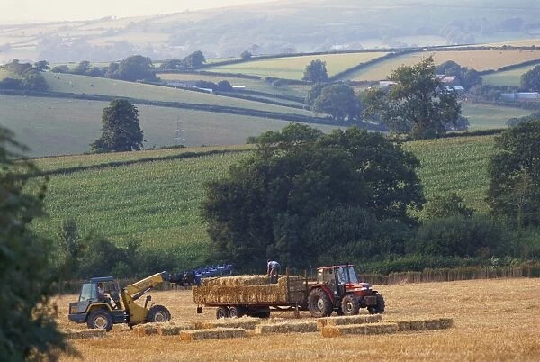 Harvesting near Bigbury, Devon, England, United Kingdom, Europe