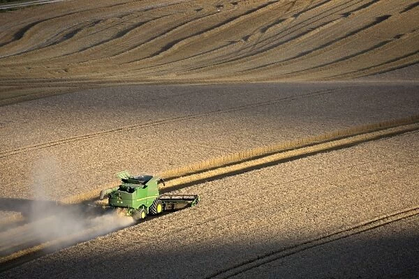 Harvesting wheat with combine harvester, near Winchester, Hampshire, England, United Kingdom