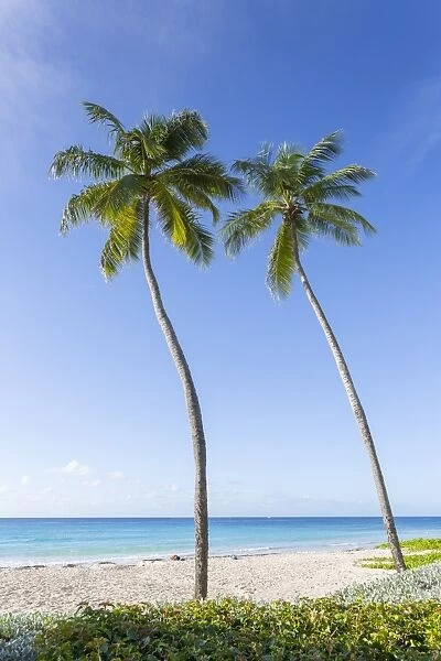 Hastings Beach, Bridgetown, Christ Church, , Barbados, West Indies, Caribbean, Central