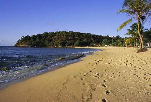 Hawksbill Beach, Antigua, Caribbean, West Indies, Central America