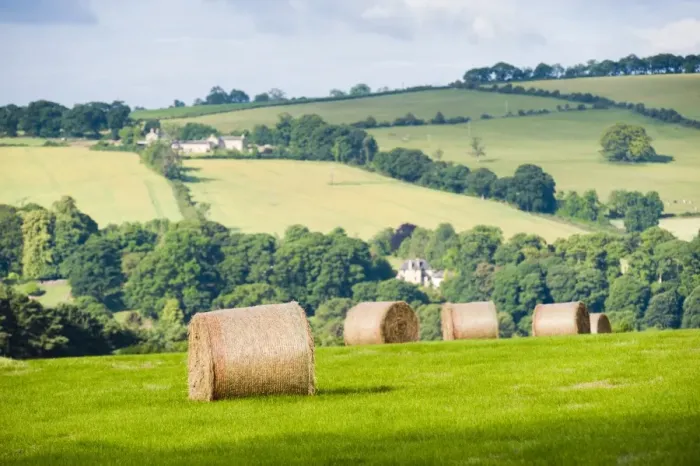 Framed Print : Hay bale landscape, Northumberland National Park, near Hexham, Northumberland, England, United Kingdom, Europe
