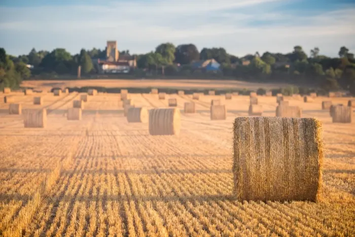 Framed Print : Hay bales in the Cuddesdon countryside, Oxfordshire, England, United Kingdom, Europe Framed Print : Hay bales in the Cuddesdon countryside, Oxfordshire, England, United Kingdom, Europe