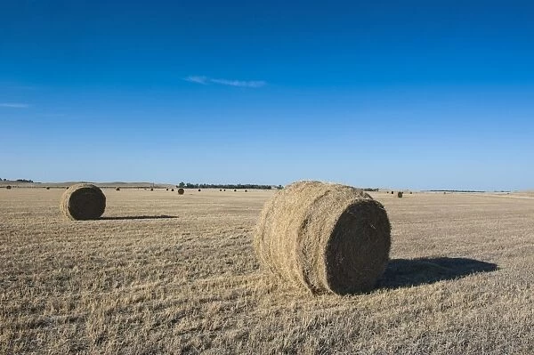 Hay bales on a field along Route two through Nebraska, United States of America, North America