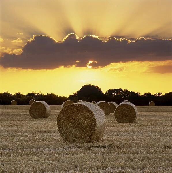 Hay bales at sunset, East Sussex, England, United Kingdom, Europe