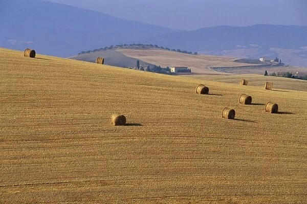 Hay bales, Val d Orcia