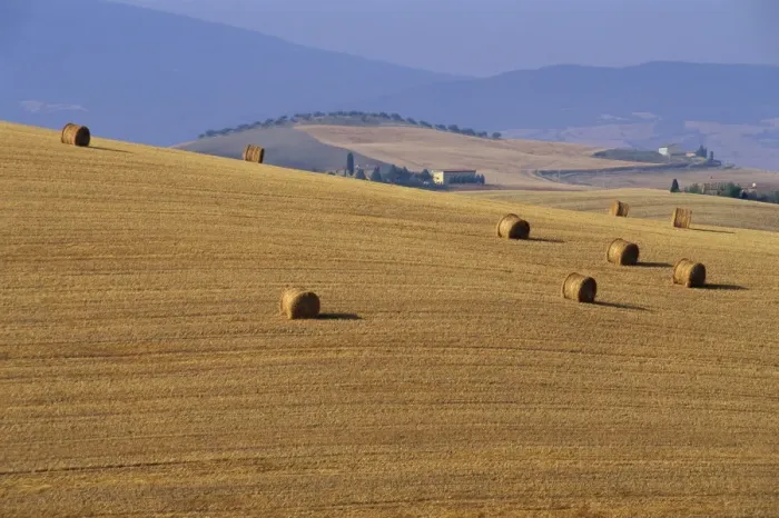 Framed Print : Hay bales, Val d Orcia Framed Print : Hay bales, Val d Orcia