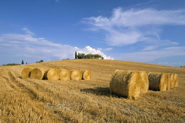 Hay bales, Val d Orcia, Siena province, Tuscany, Italy, Europe