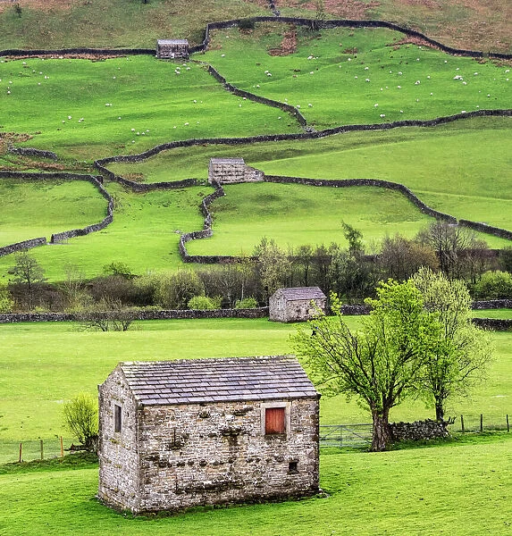 Hay barns, Muker, Swaledale, Yorkshire Dales, Yorkshire, England, United Kingdom, Europe